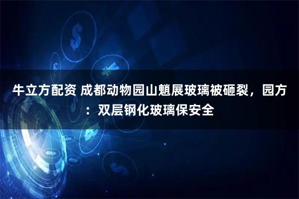 牛立方配资 成都动物园山魈展玻璃被砸裂，园方：双层钢化玻璃保安全