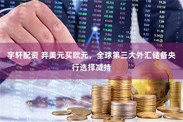 宇轩配资 弃美元买欧元，全球第三大外汇储备央行选择减持